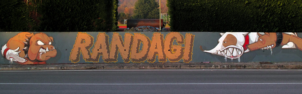 randagi | kaio | buono | wrs | dog | italy