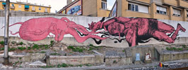 signora-k | jameskalinda | octopus | pink | italy (23 votes)