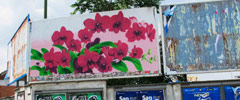 the-wa | billboard | torino | italy (19 votes)
