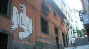 arp | napoli | italy (16 votes)