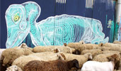 awer | blue | sheep | italy (19 votes)