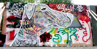awer | dog | milano | italy (16 votes)