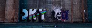 cr-y | 999 | skull | torino | italy (27 votes)