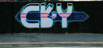 cr-y | ai-crew | torino | italy (19 votes)
