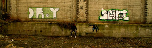 cr-y | squirt | torino | italy (23 votes)