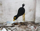 diegomiedo | bird | italy (16 votes)