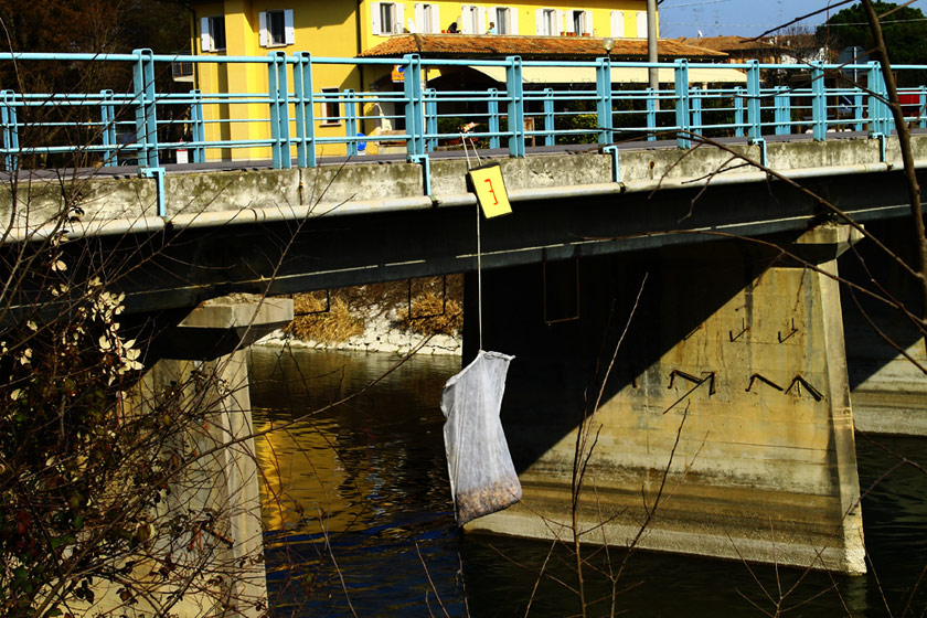 elfo | bridge | 3-d | italy