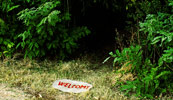 elfo | floor | italy (16 votes)