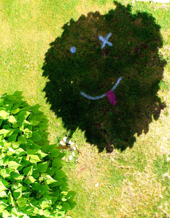 elfo | tree | floor | contextual-face | italy