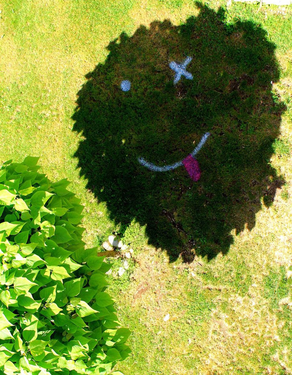 elfo | tree | floor | contextual-face | italy