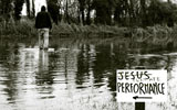 elfo | water | jesus | italy (28 votes)