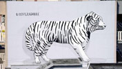 escif | tiger | italy (15 votes)