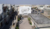 escif | tiger | italy (12 votes)