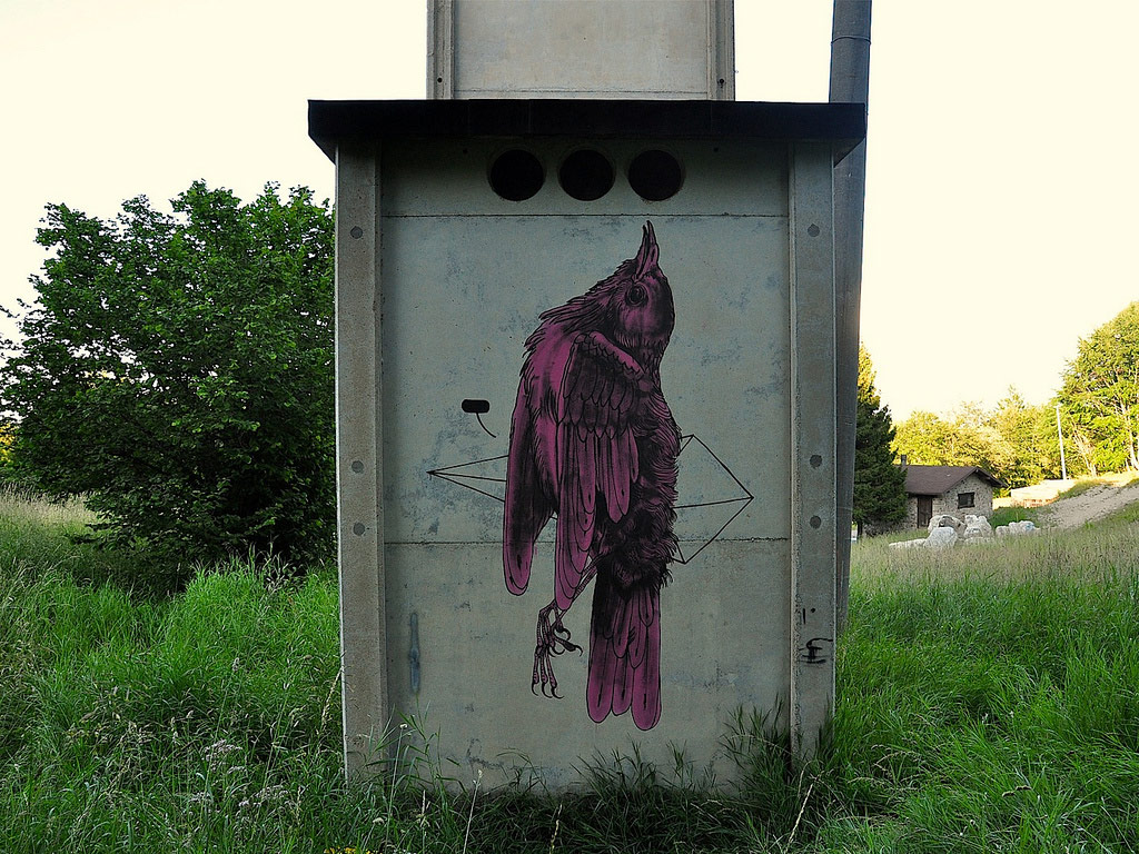 jameskalinda | bird | italy