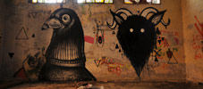 koes | knore | pigeon | italy (20 votes)