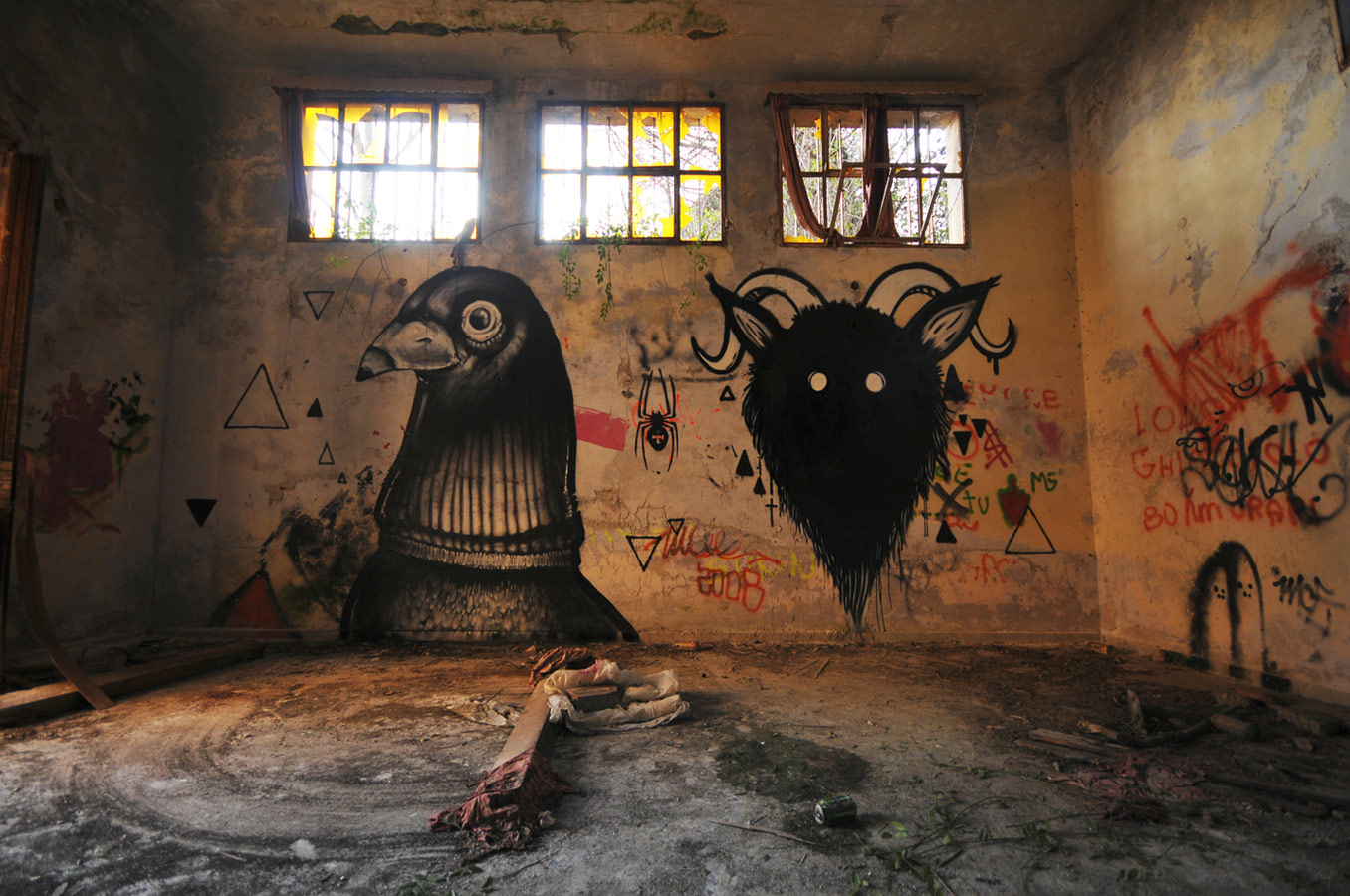 koes | knore | pigeon | italy