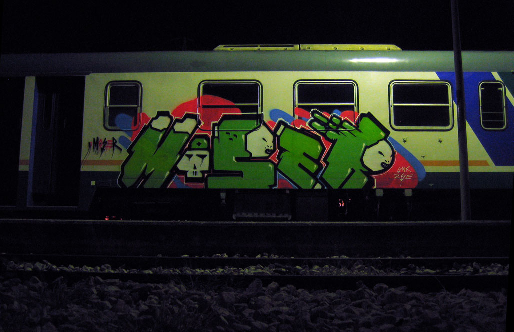 moser_train_night_t1xl