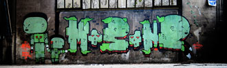 mosone | green | novara | italy (43 votes)
