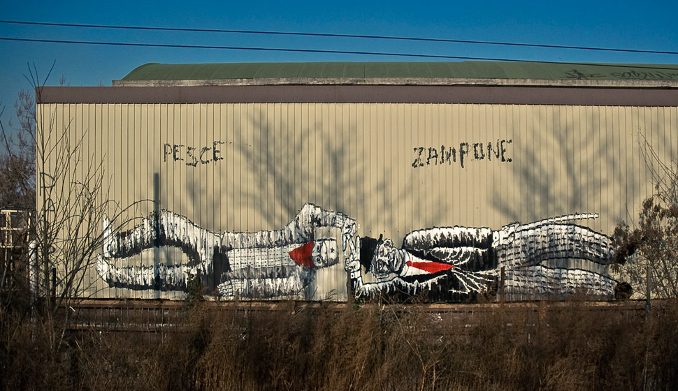 pesce | zampone | italy