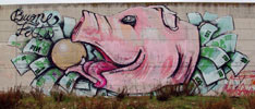 pin | pig | italy (28 votes)