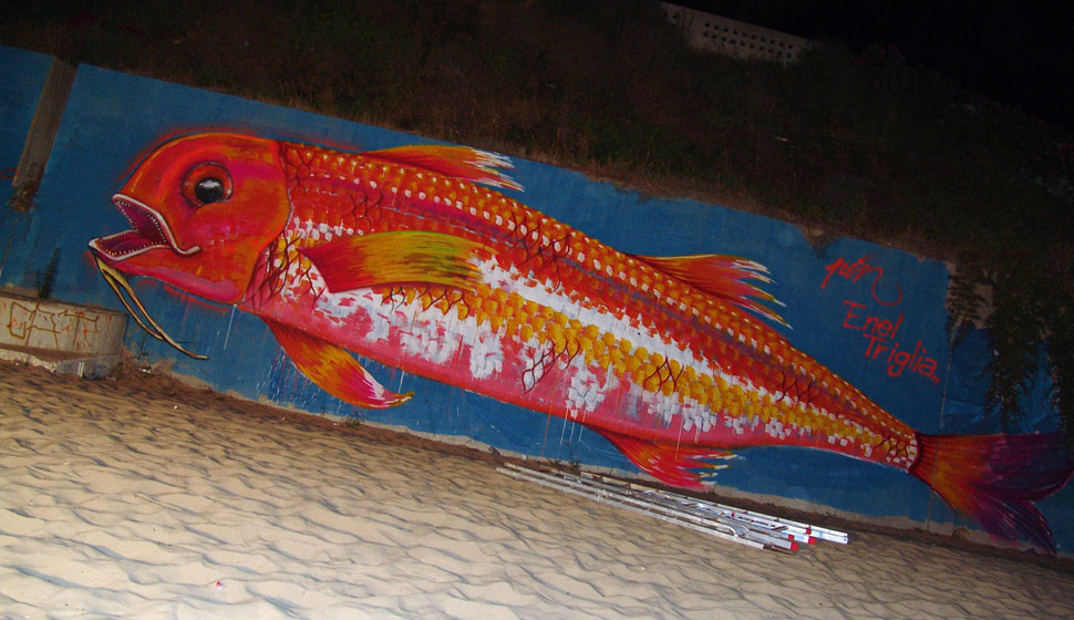 pin | red | fish | italy