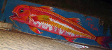 pin | red | fish | italy (13 votes)