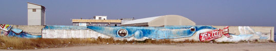 pin | whale | big | italy (9 votes)