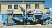 roa | bird | ancona | italy (23 votes)
