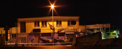 roa | bird | night | ancona | italy (16 votes)