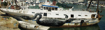 roa | boat | bird | ancona | italy | mv1010 (70 votes)