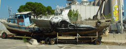 roa | boat | blu | ancona | italy (25 votes)