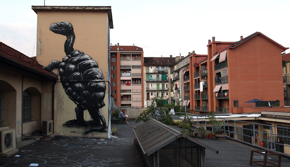 roa | turtle | torino | italy