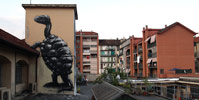 roa | turtle | torino | italy (11 votes)