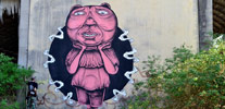 seacreative | pink | italy (17 votes)