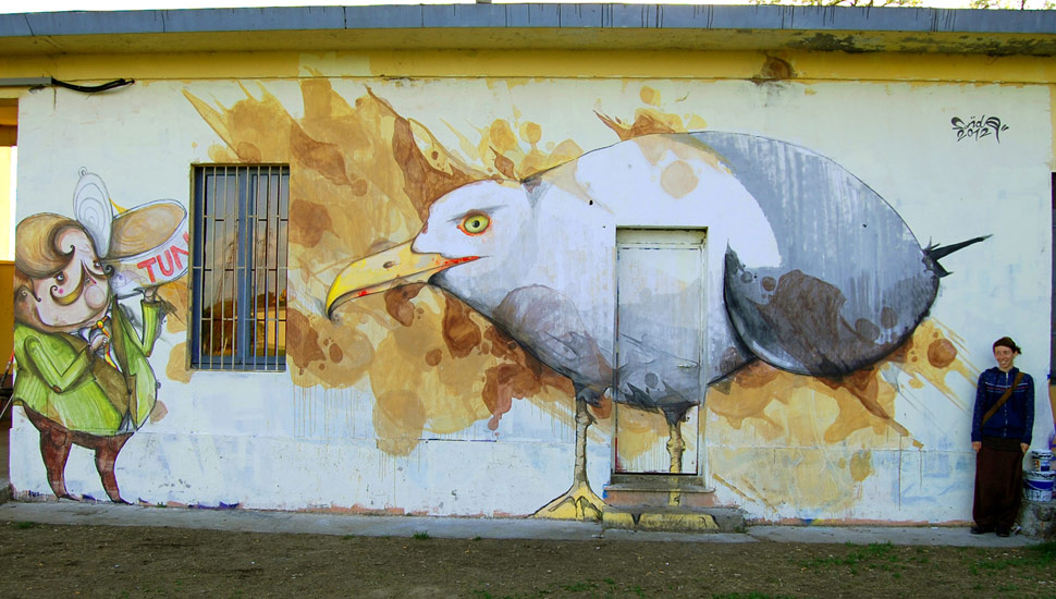 sonda | bird | italy