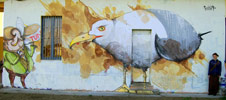 sonda | bird | italy (18 votes)