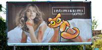 sqon | billboard | cat | summer11 | italy (57 votes)