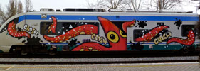 sqon | octopus | train | italy (89 votes)