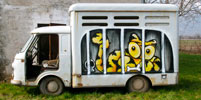 sqon | yellow | truck | italy | winter10 (68 votes)