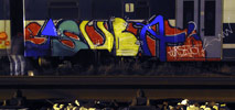 tsuba | wrs | train | process | italy (9 votes)
