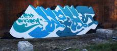 wons | blue | italy (5 votes)