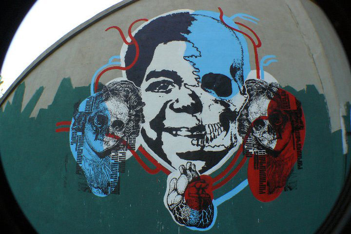 zibe | orticanoodles | italy