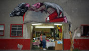 roa | saner | winter10 | mexico (105 votes)