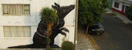 roa | mexico (36 votes)