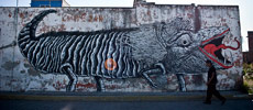 satterugly | mexico (25 votes)