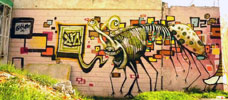 aroek | mexico (13 votes)