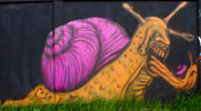 roacho | nayarit | snail | mexico (37 votes)