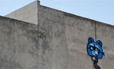 bue | blue | mexico (45 votes)