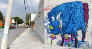 fotze | blue | mexico (31 votes)