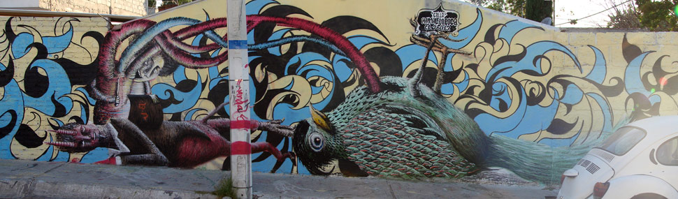 jajaja | bird | mexico